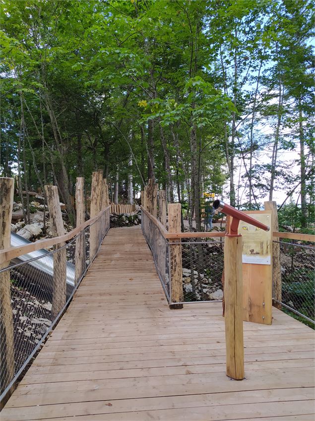 La forêt mystérieuse - S. Thomas/Office de Tourisme du Pays de Gex