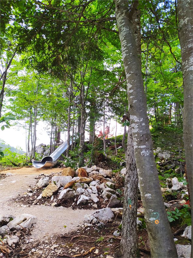 La forêt mystérieuse - S. Thomas/Office de Tourisme du Pays de Gex