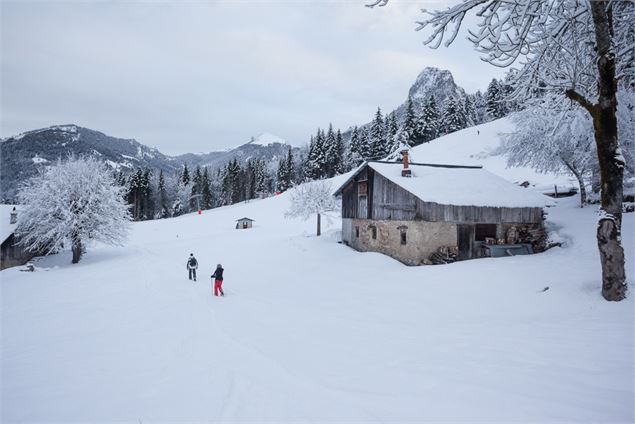 Circuit raquettes de l'Envers Bernex pays d'Evian