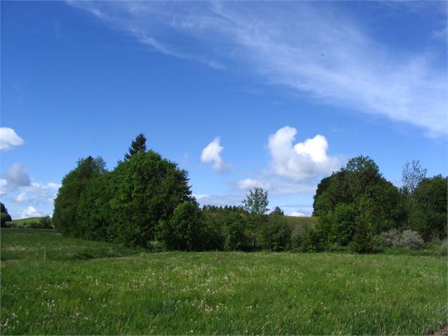 Plateau des Bornes - Monique Rezvoy