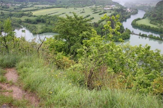 Point de vue de St Maurice d'échazeaux sur Conflans