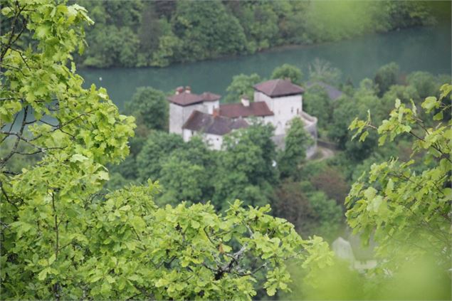 Point de vue de St Maurice d'échazeaux sur Conflans