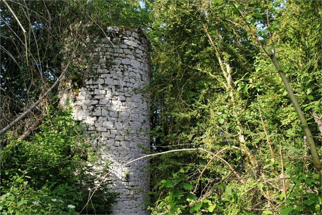 Château ruiné de Mont Didier