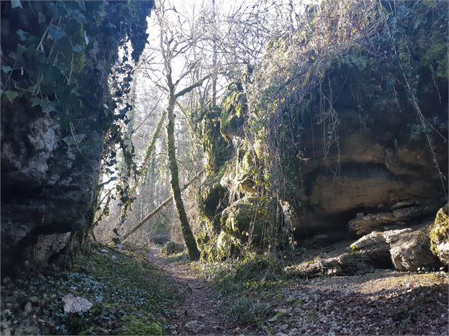 Ruines du château de Montdidier