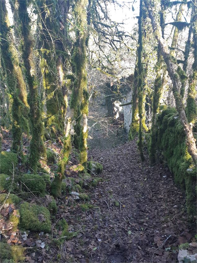 Sentier de St Maurice d'Echazeaux