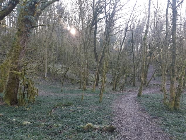 Sentier de St Maurice d'Echazeaux