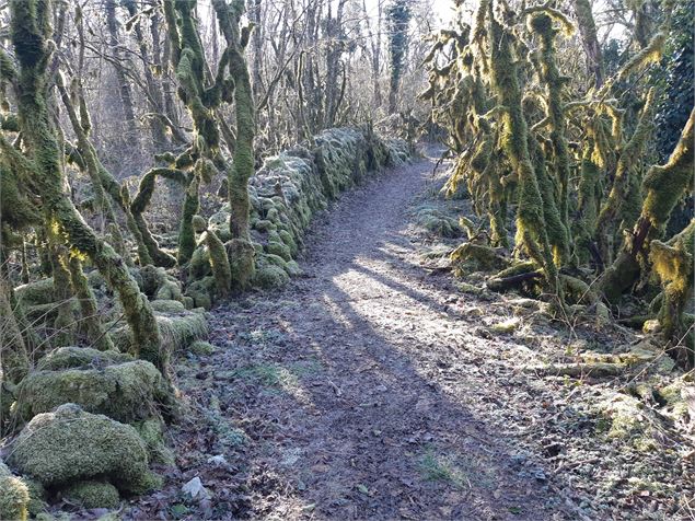 Sentier de St Maurice d'Echazeaux