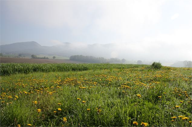 Brume sur Cuisiat - Lacroix