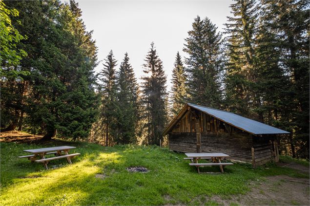 petit chalet à l'orée du bois