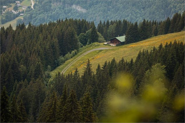 Itinéraire rando crêtes de  Rochebrune_Megève