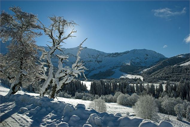 vue_hiver - mairie_de_megeve