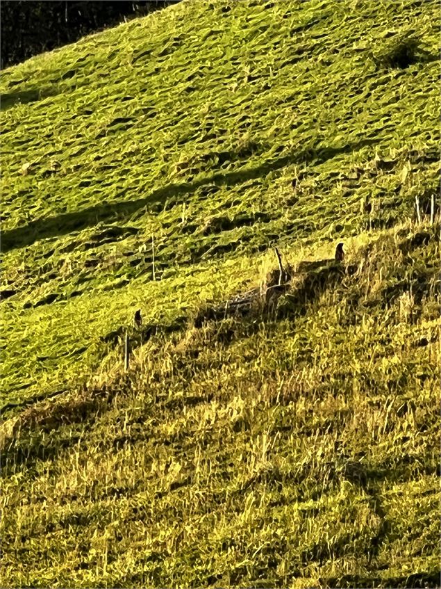 Itinéraire rando le Planay_Megève