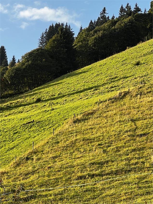 Itinéraire rando le Planay_Megève