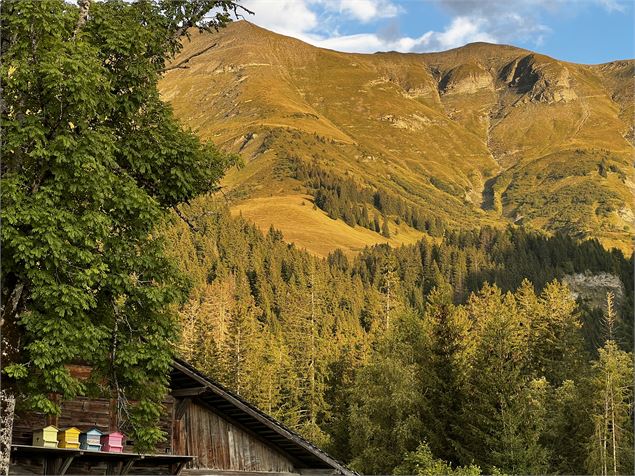 Itinéraire rando le Planay_Megève