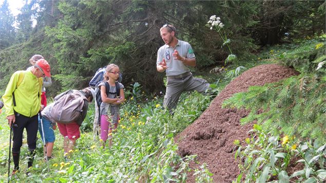 Animation auprès des jeunes publics - Réserve Naturelle Nationale de la Haute Chaine du Jura