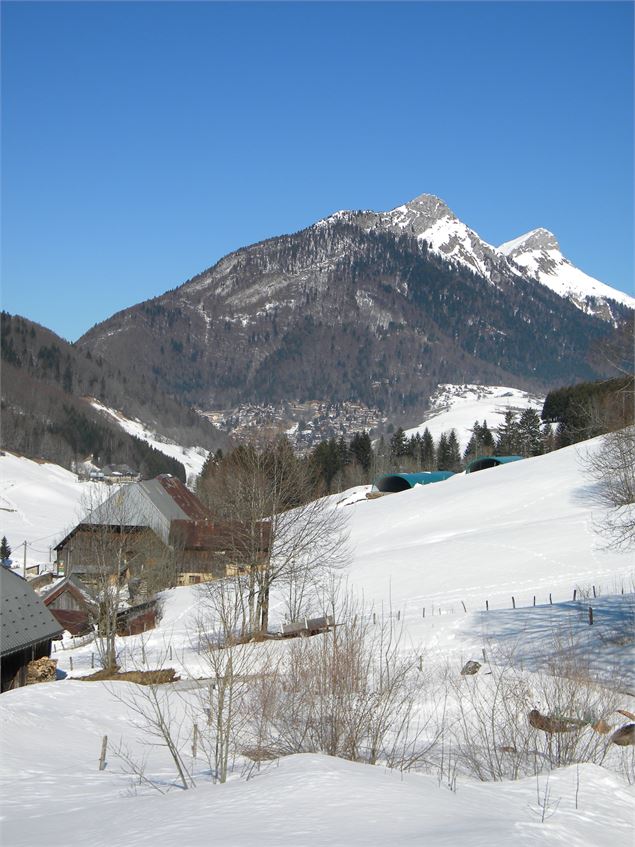 Le Penon - Laurent Madelon