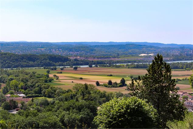 Vue depuis le bois de Souhait - Marilou Perino