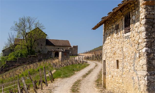 cellier de Chinves - Marilou Perino