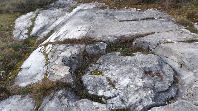 site de la carrière des Meules - Marilou Perino