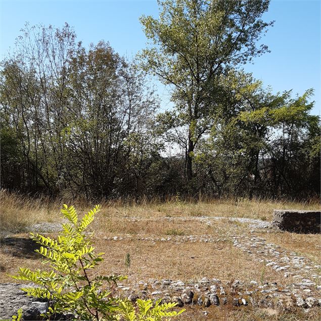 Site funéraire les Plantées briord - Marilou Perino