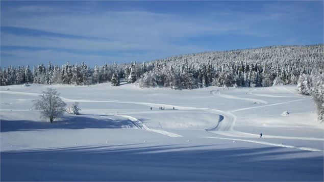 Plateau de la Vattay - ©OTpaysdegex