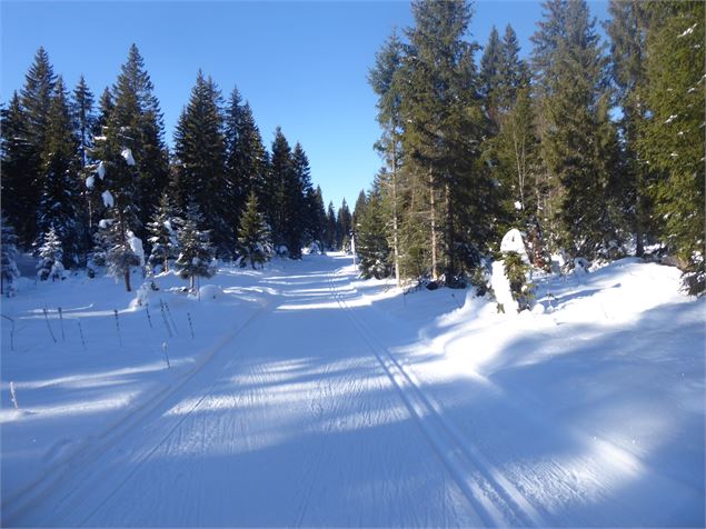 Belle piste - ©AMbarbe