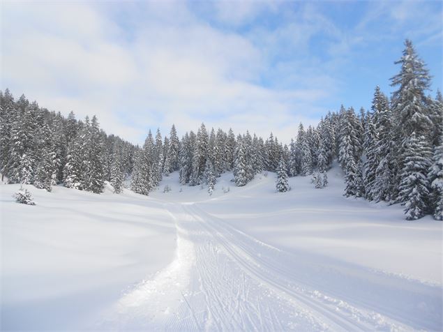 Belle piste - ©AMbarbe