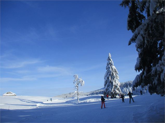 beau plateau - ©AMbarbe