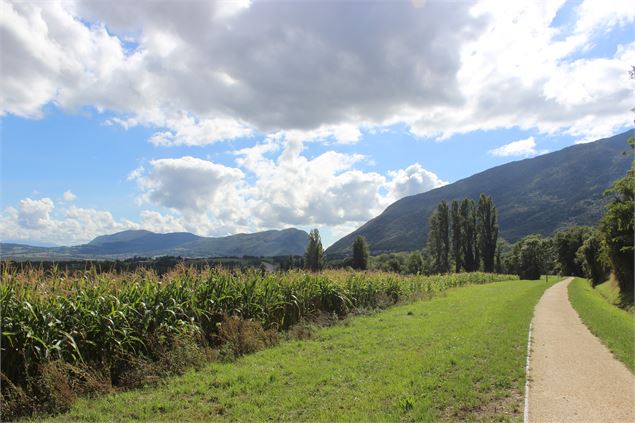 Voie verte de Farge - Péron - ©jthevenard