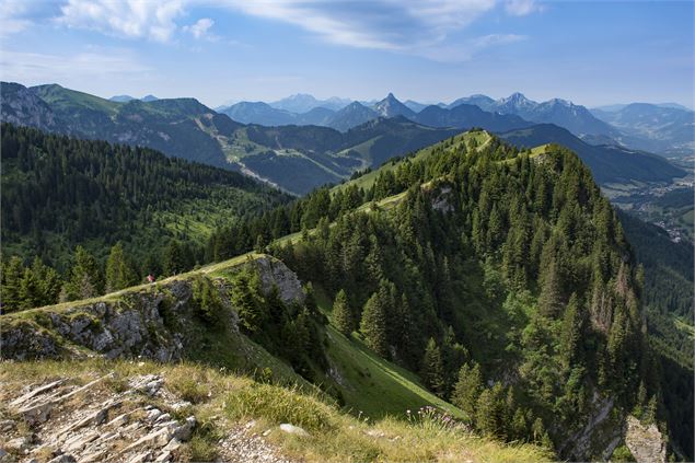 Crête Montagne des Mémises - Gilles Lansard