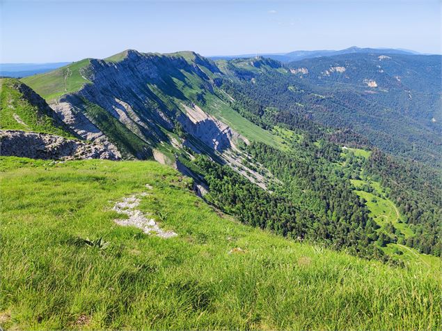 Les crête de la Haute Chaîne du Jura - AMbarbe