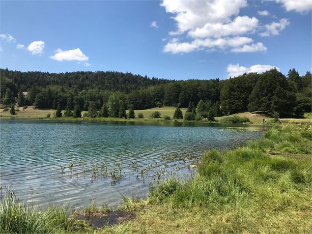 Parcours VTT 68 bleu - Lac Genin et les bois de Puthod et des Millières - Espace FFC Ain Forestière 