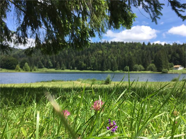 Parcours VTT 68 bleu - Lac Genin et les bois de Puthod et des Millières - Espace FFC Ain Forestière 