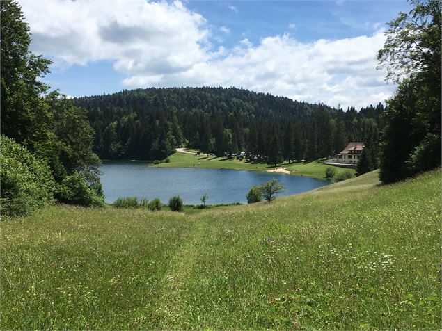 Parcours VTT 68 bleu - Lac Genin et les bois de Puthod et des Millières - Espace FFC Ain Forestière 