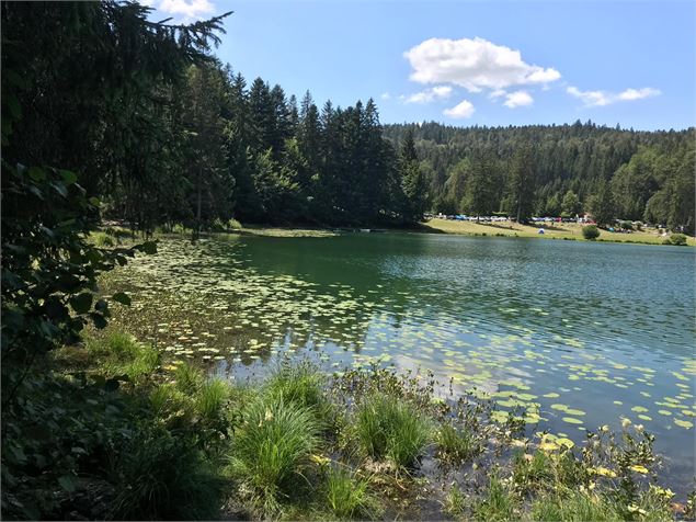 Parcours VTT 67 vert - Lac Genin et les hauts de Charix - Espace FFC Ain Forestière - Mélanie Poirso