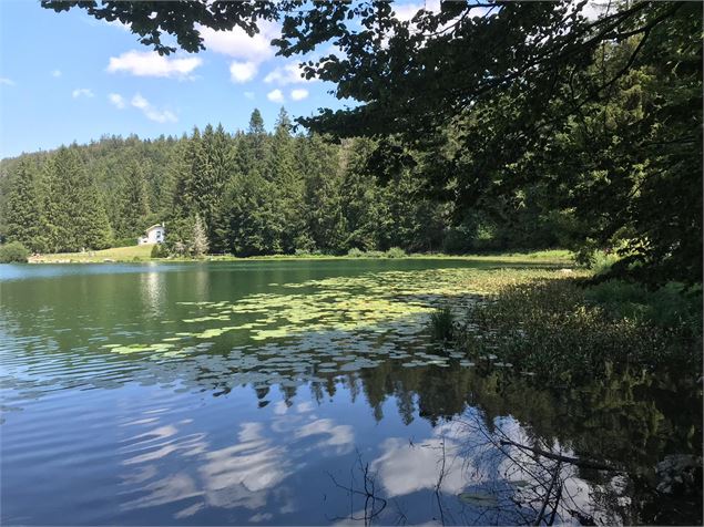 Parcours VTT 67 vert - Lac Genin et les hauts de Charix - Espace FFC Ain Forestière - Mélanie Poirso