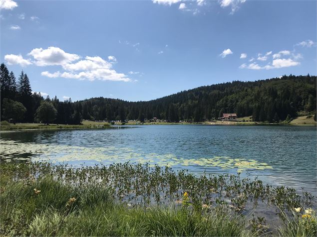 Parcours VTT 67 vert - Lac Genin et les hauts de Charix - Espace FFC Ain Forestière - Mélanie Poirso