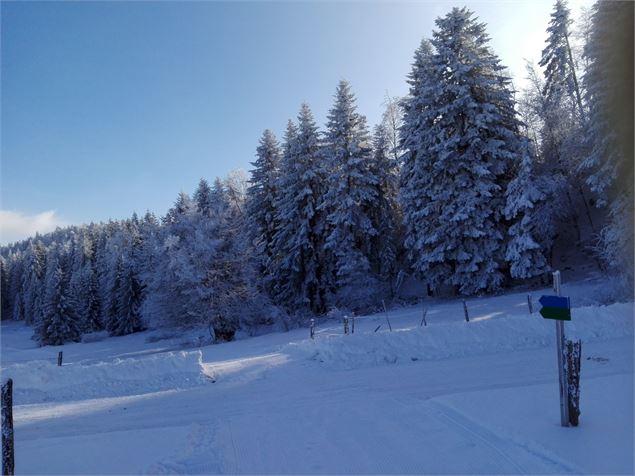 Photo de la traversée de la route - Amandine et Baptiste CHOUTKOFF