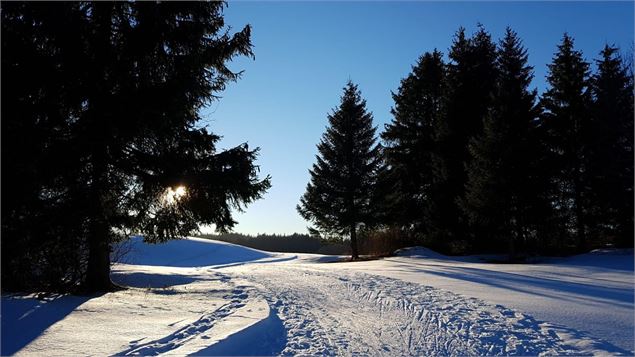 Photo hivernal - Amandine et Baptiste CHOUTKOFF