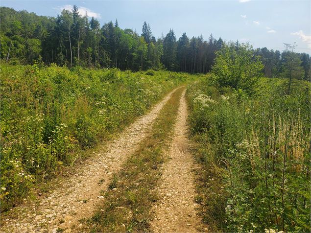 Sur le sentier - Christophe Kaderabek - Haut Bugey Tourisme