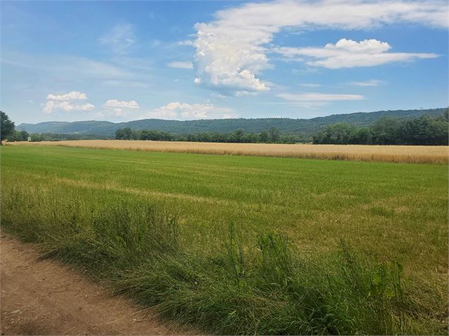 Vue sur la campagne - Christophe Kaderabek - Haut Bugey Tourisme