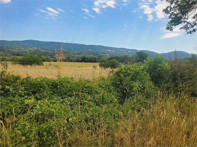 Vue sur la Belloire - Christophe Kaderabek - Haut Bugey Tourisme