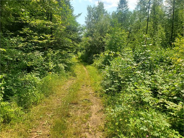 Sentier pittoresque - Christophe Kaderabek - Haut Bugey Tourisme