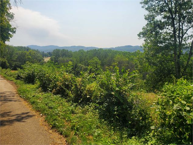 Vue sur le plateau - Christophe Kaderabek - Haut Bugey Tourisme