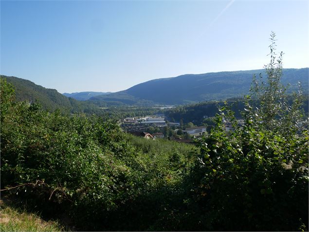 Vue des Montagnes du Jura - Sentiers buissonniers dortanais