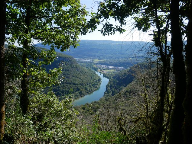 Vue sur la rivière d'ain - Sentiers buissonniers dortanais