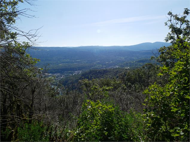 Vue des Montagnes du Jura - Sentiers buissonniers dortanais