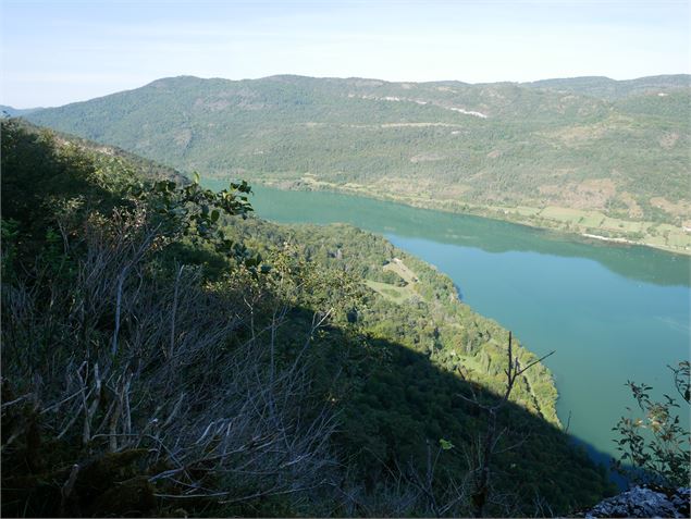 Vue sur la rivière d'ain - Sentiers buissonniers dortanais