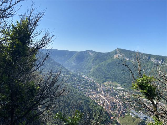 Vue panoramique - Alizée Gréau