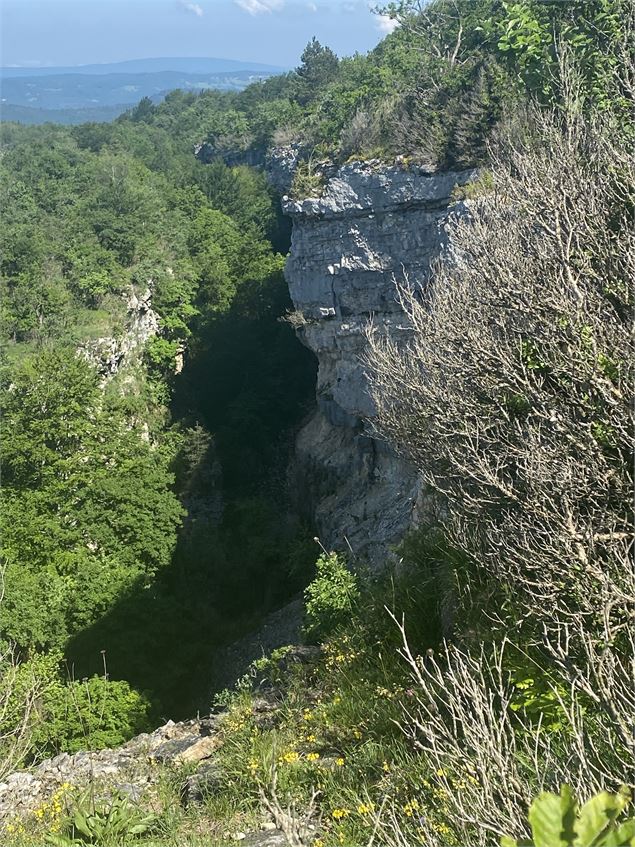 Falaise - Alizée Gréau